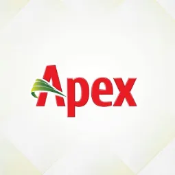 Apex logo